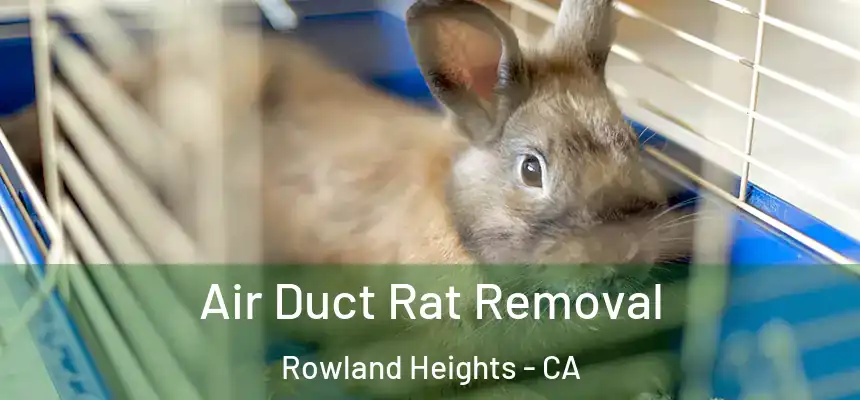 Air Duct Rat Removal Rowland Heights - CA