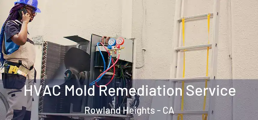  HVAC Mold Remediation Service Rowland Heights - CA
