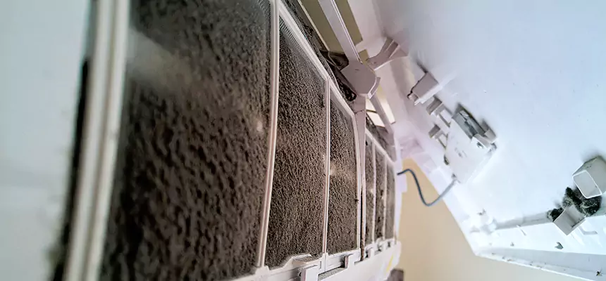 Preventive Air Duct Bacteria Removal in Rowland Heights