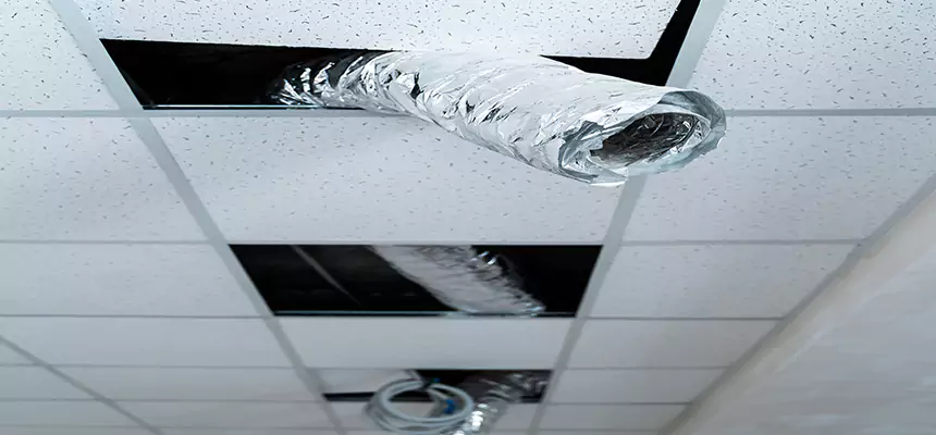 Affordable HVAC Sanitizing After Pest Removal in Rowland Heights