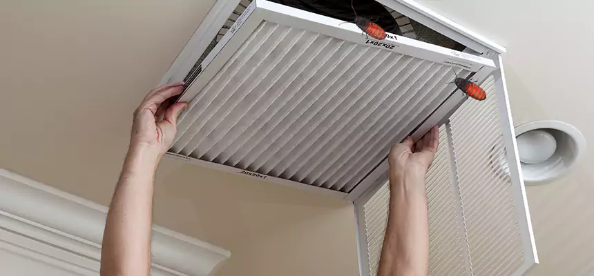Our Insect Removal from Air Ducts Services in Rowland Heights, CA