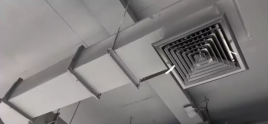 Our Pest Removal From Ducts Services in Rowland Heights, CA