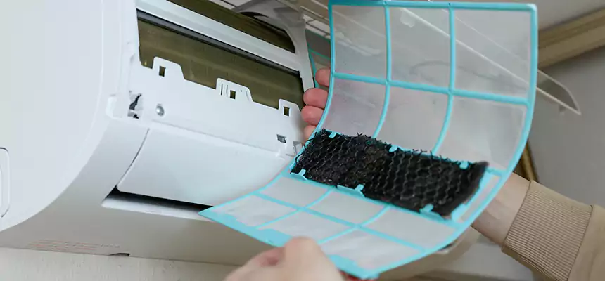 Gentle Ductwork Odor-Control Pet Dander Duct Cleaning in Rowland Heights, CA