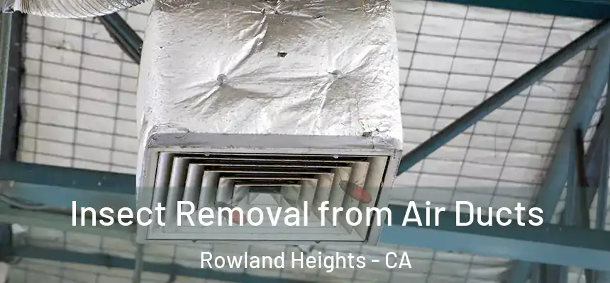  Insect Removal from Air Ducts Rowland Heights - CA