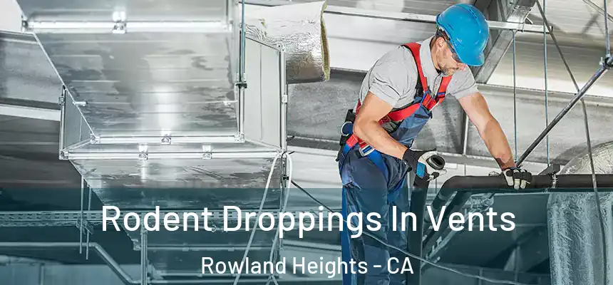  Rodent Droppings In Vents Rowland Heights - CA