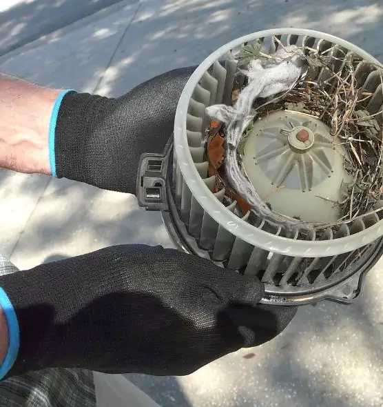 About Air Duct Mice Removal in Rowland Heights, CA