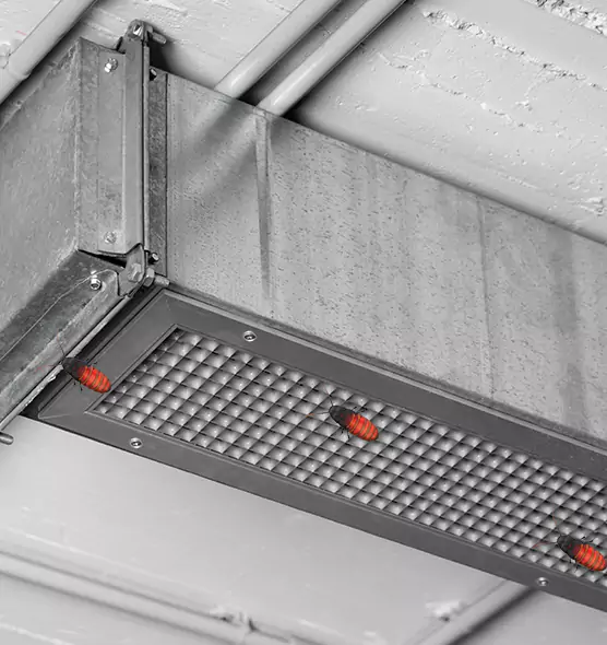 Affordable Insect Removal from Air Ducts in Rowland Heights, CA