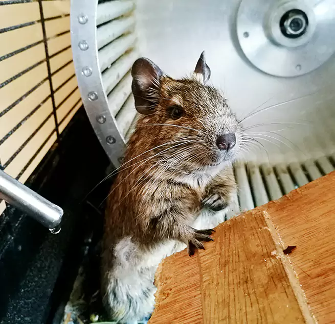 Why Homeowners & Businesses Trust Us Rowland Heights, CA