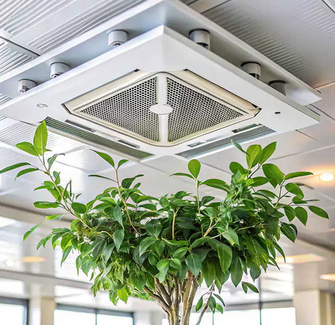 Why Homeowners & Businesses Trust Us in Rowland Heights, CA?